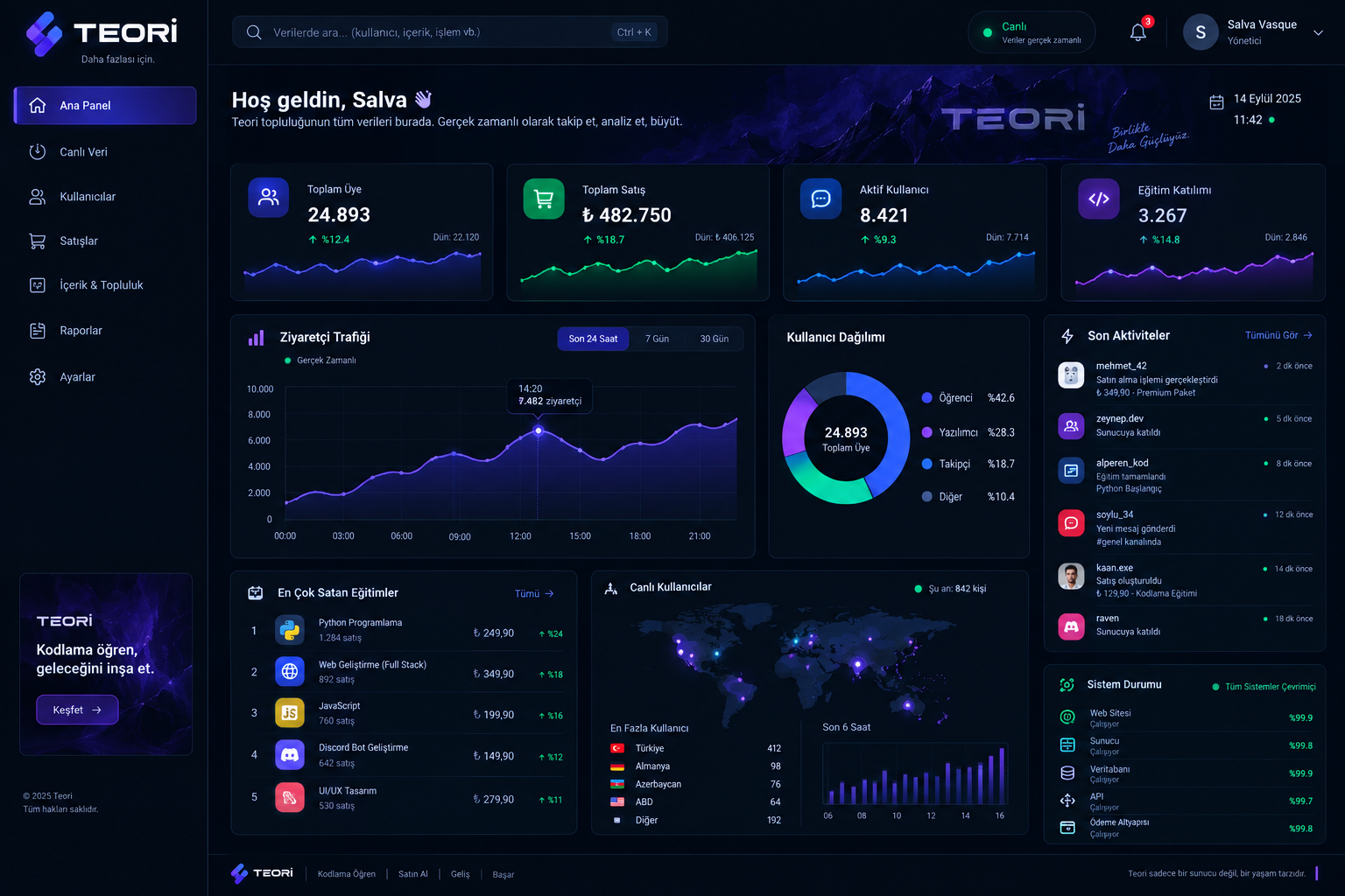 PULSE — gerçek zamanlı veri için analitik gösterge paneli tasarımı ekran görüntüsü
